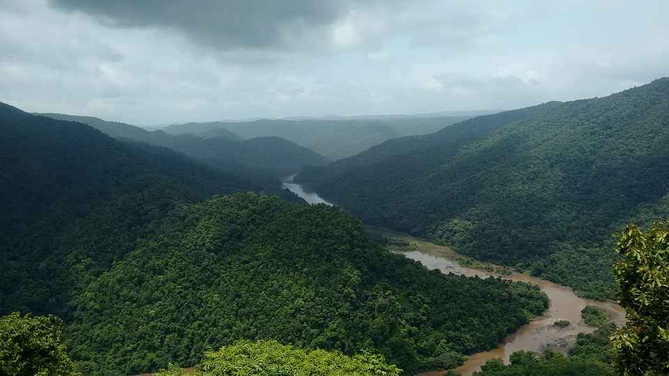 dandeli